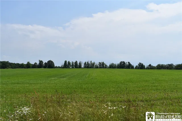 $1,430,000 | 0 Stoneledge Road, Ashville, NY 14710