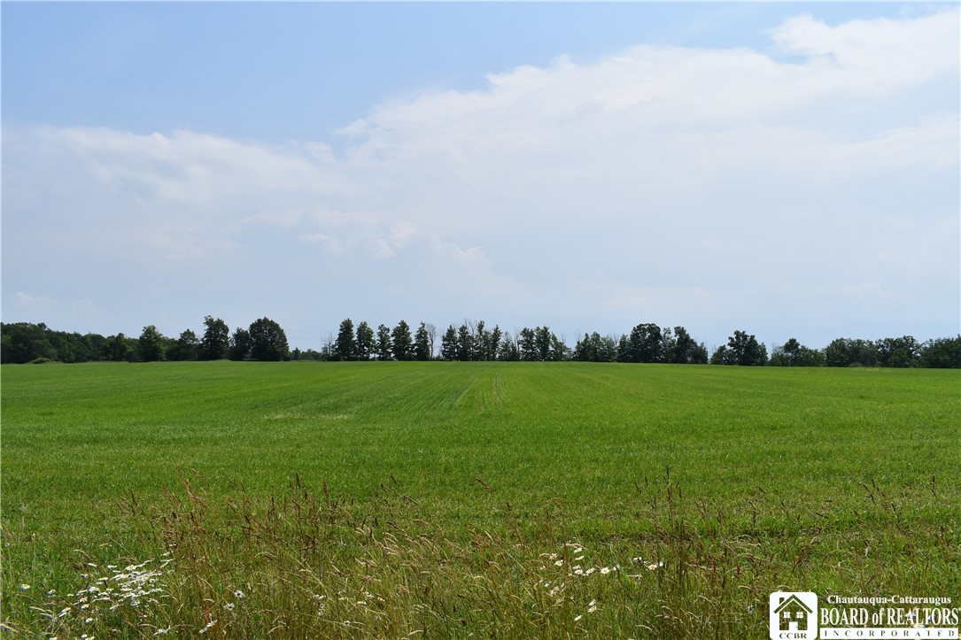 0 Stoneledge Road Ashville, NY 14710 - Photo 47 of 50