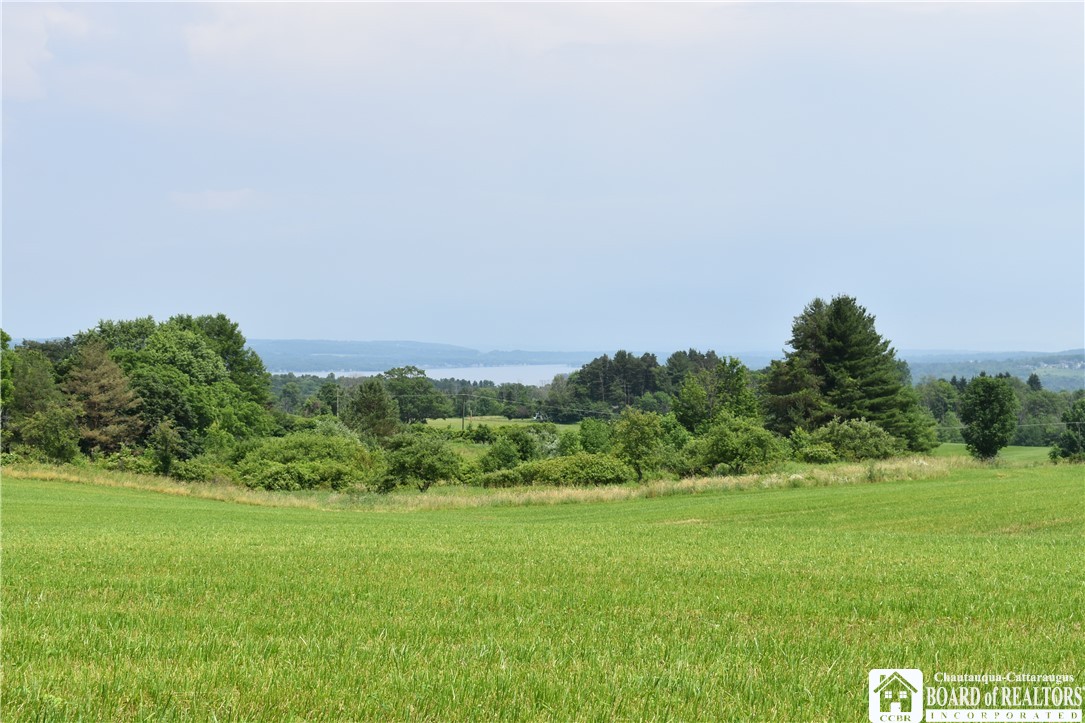 0 Stoneledge Road Ashville, NY 14710 - Photo 48 of 50