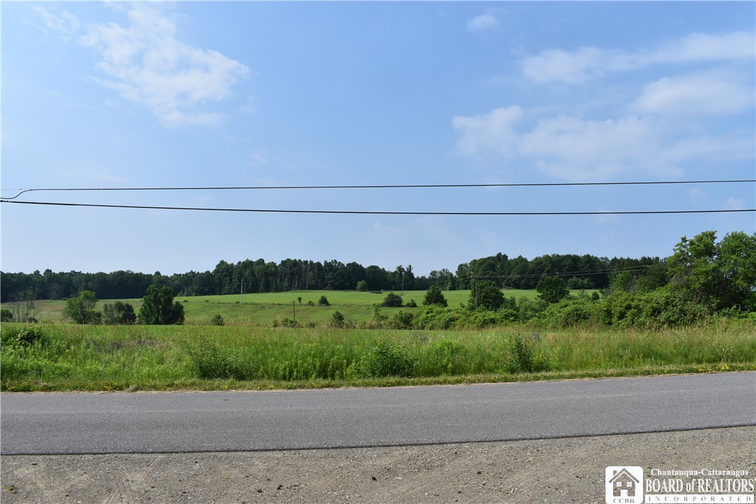 0 Stoneledge Road Ashville, NY 14710 - Photo 49 of 50