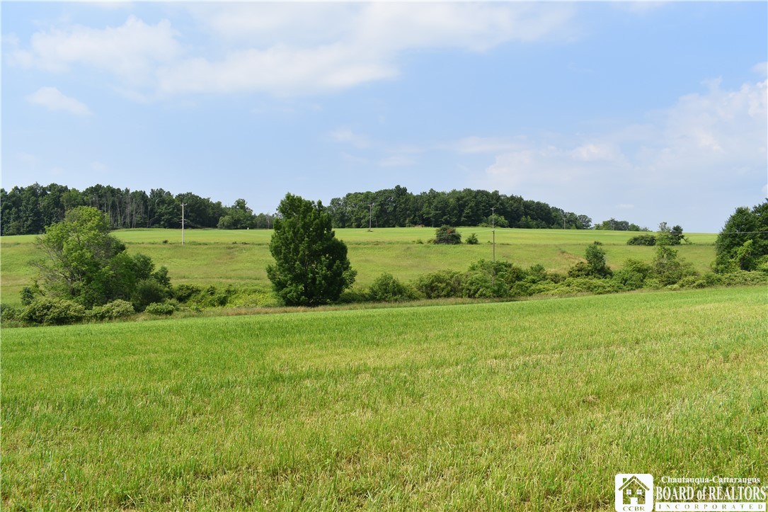 0 Stoneledge Road Ashville, NY 14710 - Photo 5 of 50