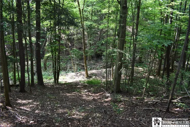 $1,430,000 | 0 Stoneledge Road, Ashville, NY 14710