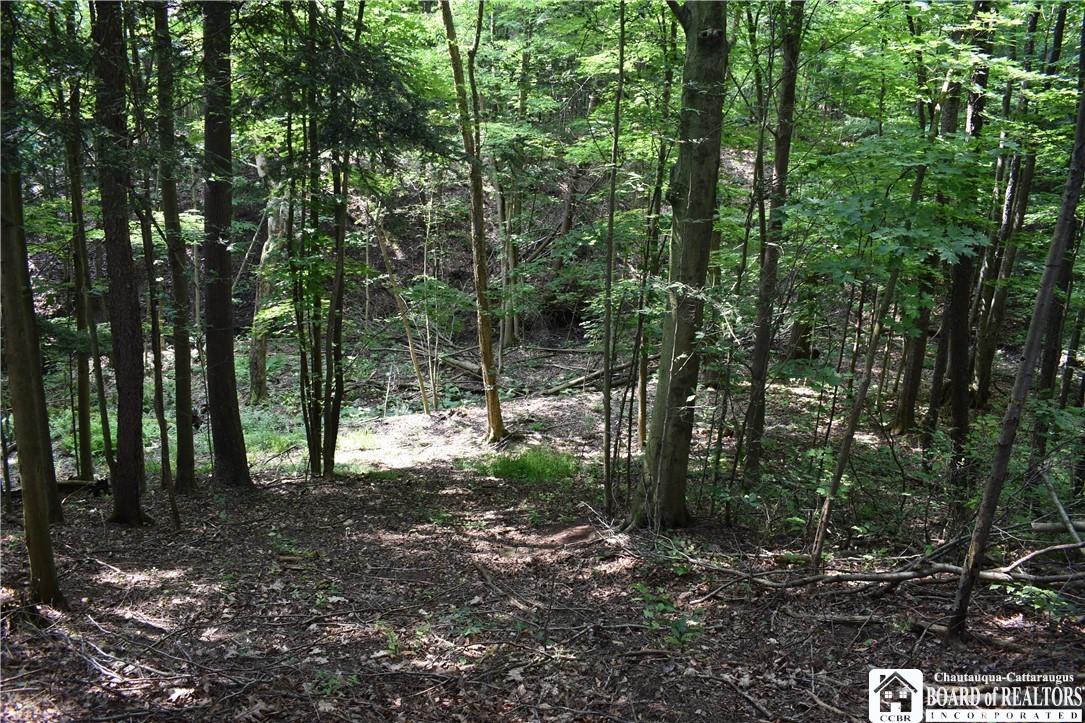 0 Stoneledge Road Ashville, NY 14710 - Photo 6 of 50