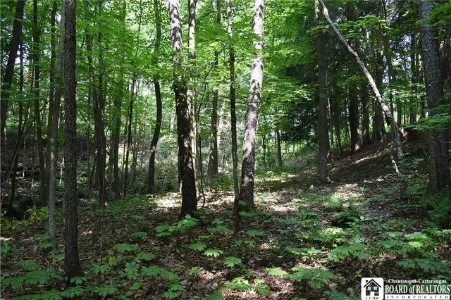 $1,430,000 | 0 Stoneledge Road, Ashville, NY 14710