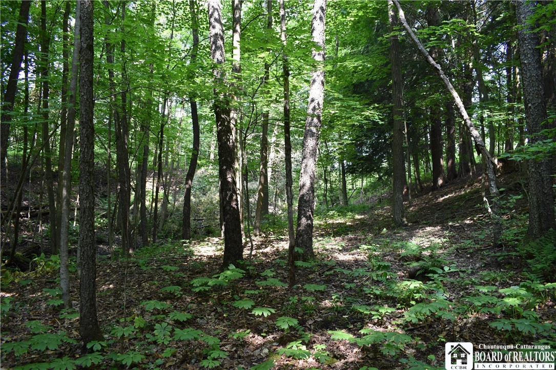 0 Stoneledge Road Ashville, NY 14710 - Photo 7 of 50