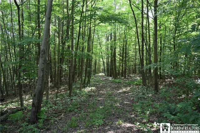 $1,430,000 | 0 Stoneledge Road, Ashville, NY 14710