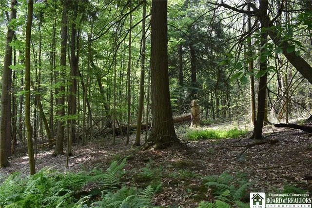 $1,430,000 | 0 Stoneledge Road, Ashville, NY 14710