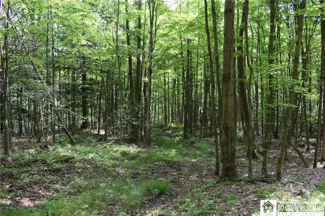 $1,430,000 | 0 Stoneledge Road, Ashville, NY 14710