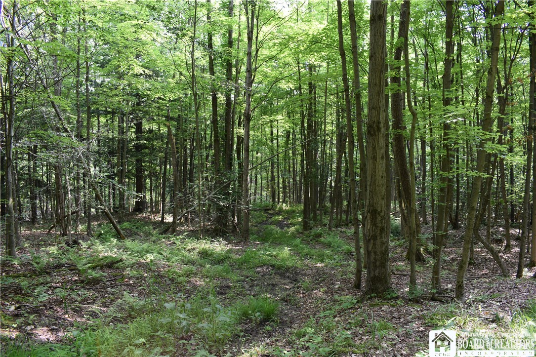 0 Stoneledge Road Ashville, NY 14710 - Photo 10 of 50