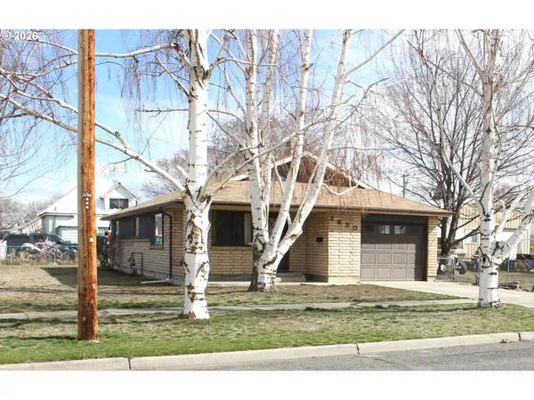 a house that has a tree in front of it