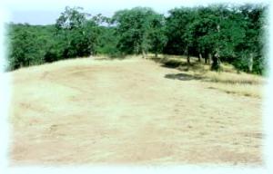 0 Penneleme Road Red Bluff, CA 96080 - Photo 3 of 3 a view of a yard with a tree