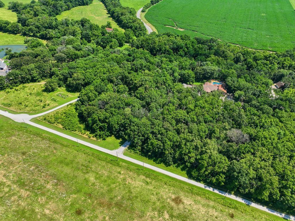 4585 Esquire Lane Carthage, MO 64836 - Photo 43 of 99