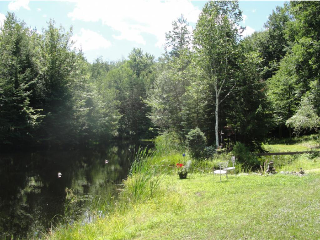 84 Allen Road Bow, NH 03304 - Photo 3 of 28