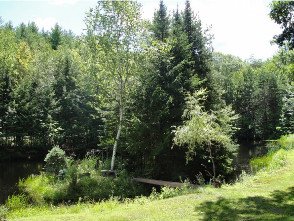 84 Allen Road Bow, NH 03304 - Photo 4 of 28