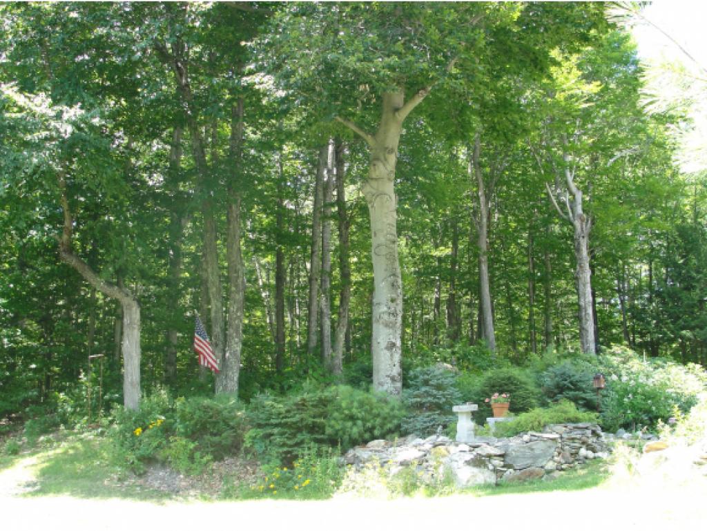 84 Allen Road Bow, NH 03304 - Photo 5 of 28