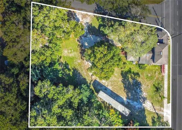 a view of a yard with plants