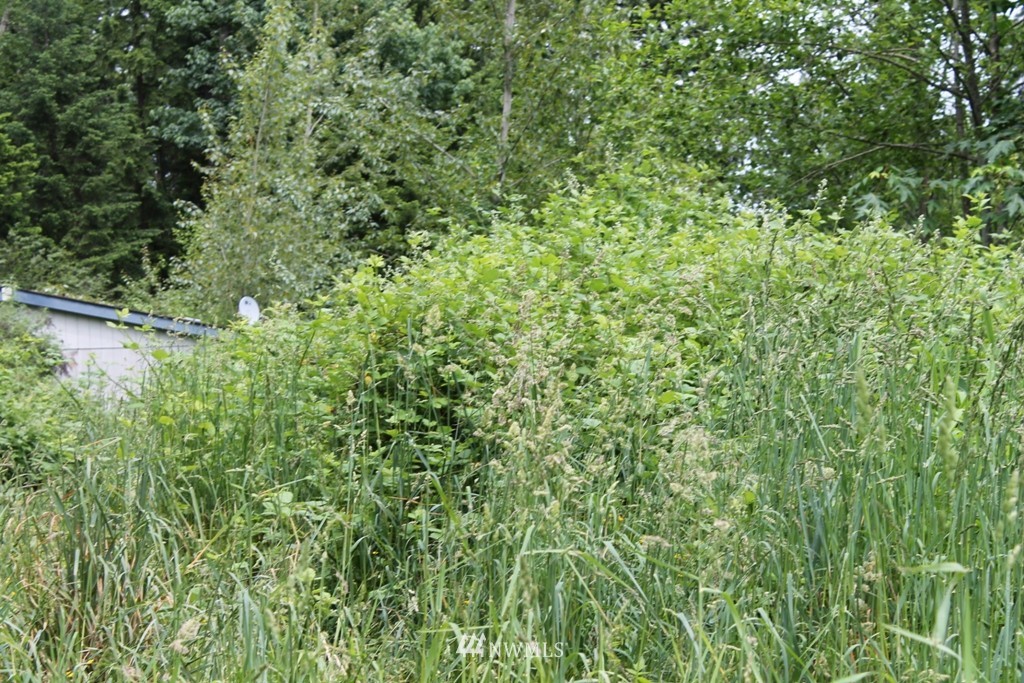 31816 Orville Road East Graham, WA 98338 - Photo 2 of 4 Gallery Image 2