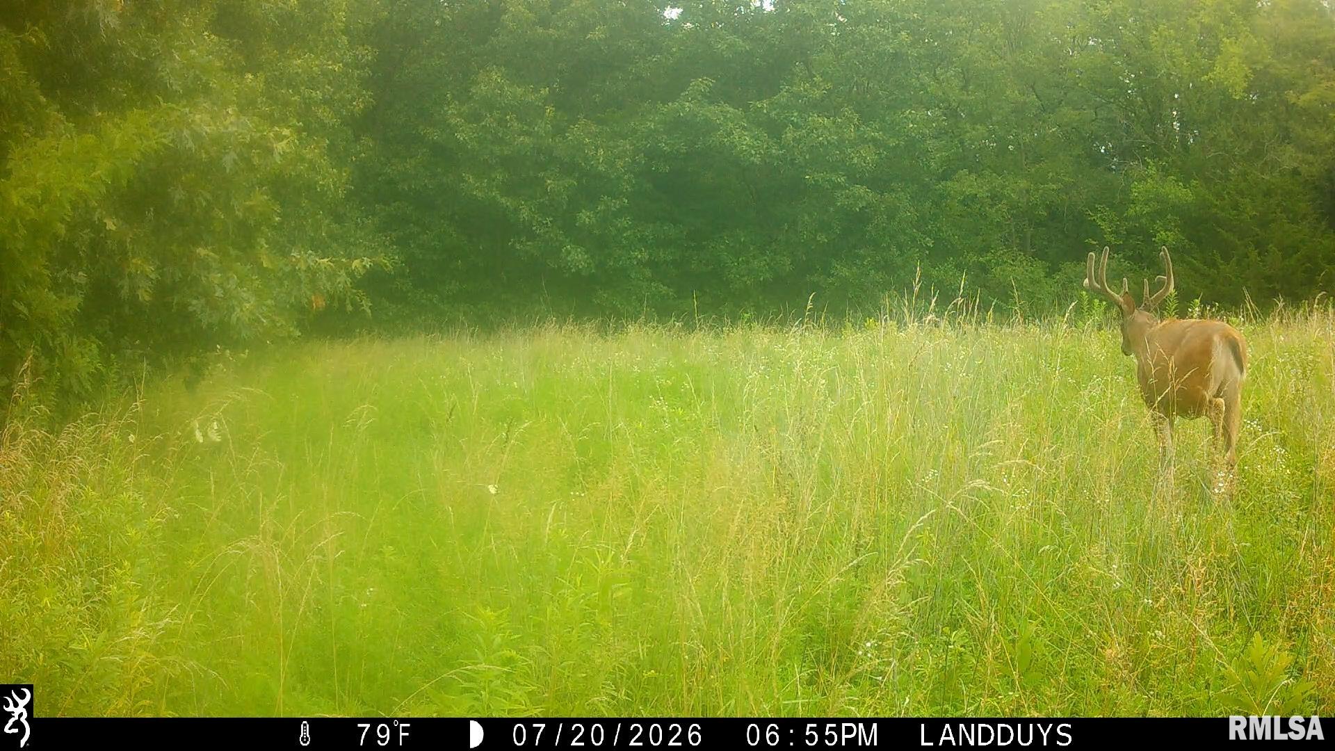 1853 East Hart Road Marietta, IL 61459 - Photo 53 of 57 Gallery Image 53