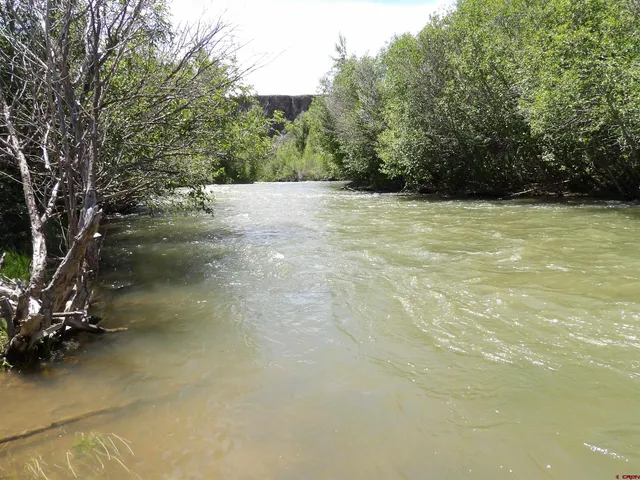 a view of a dry field with mountains in the background