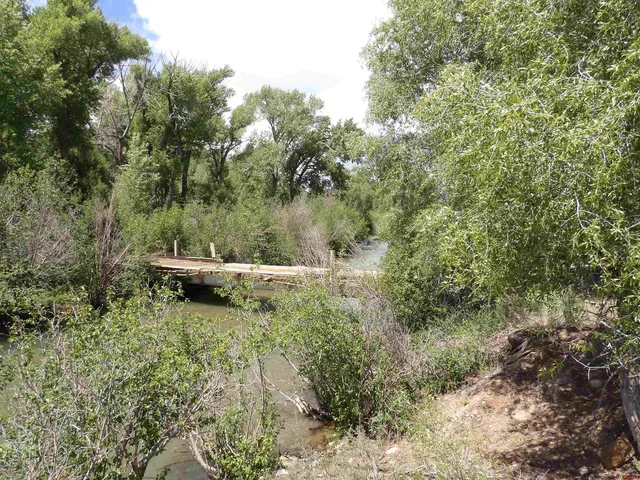 a view of a yard with trees