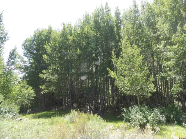 a view of a yard with an outdoor space