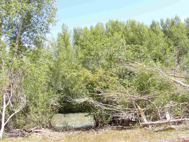 a view of mountain and tree in the background