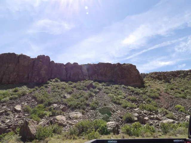 a view of a dry yard