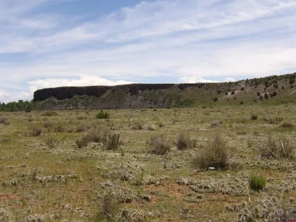 a view of a dry yard