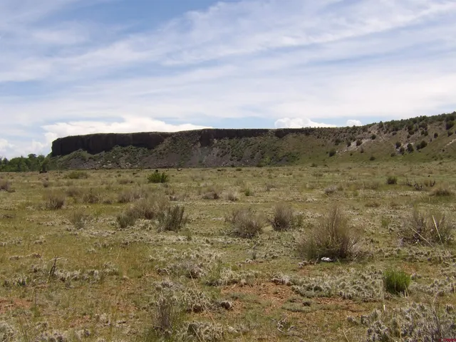 a view of a dry yard