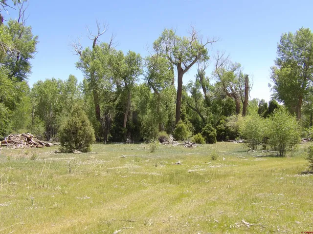a view of swimming pool with an outdoor space