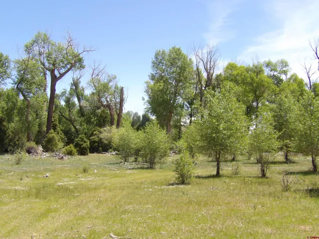 a view of a lake view