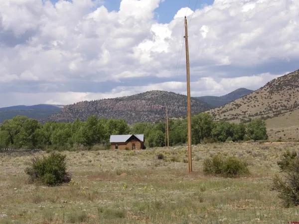 a view of a dry yard with trees in the background