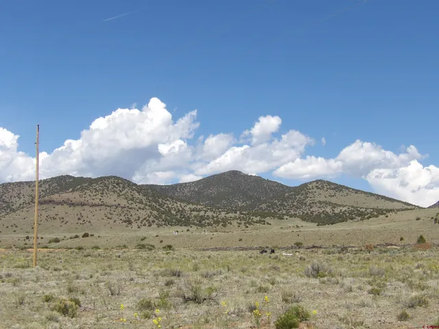 a view of a dry yard with wooden fence