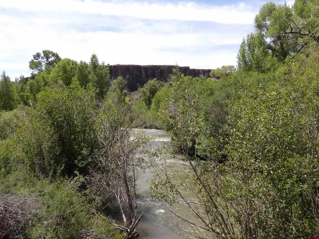 a view of a lake with top of house