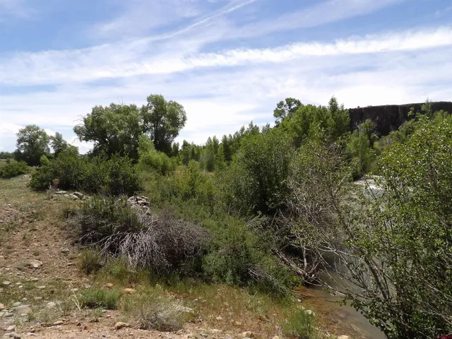 a view of a pathway with a yard