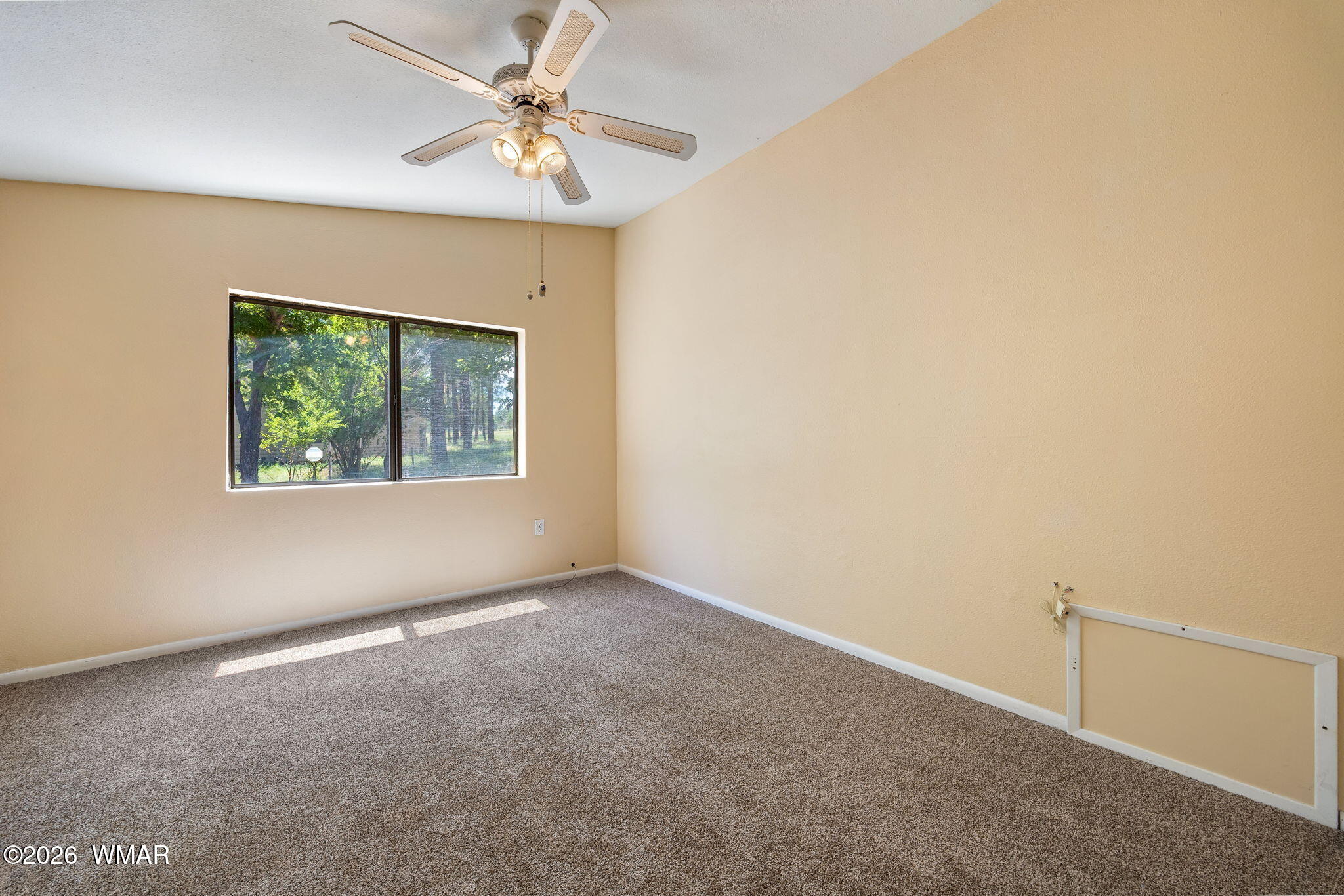 2229 Chevelon Road Overgaard, AZ 85933 - Photo 24 of 47 Gallery Image 24