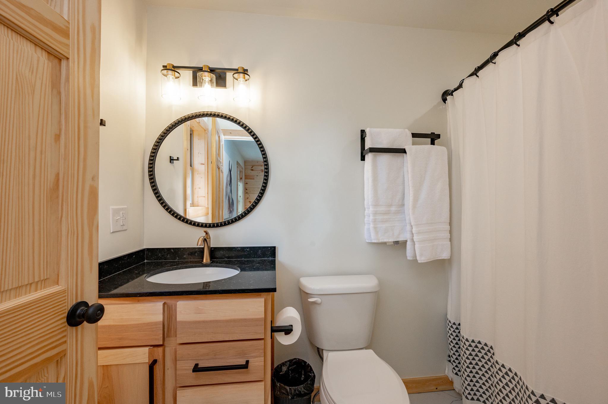 36 Irwin Way Oakland, MD 21550 - Photo 31 of 64 a bathroom with a sink a toilet and a mirror