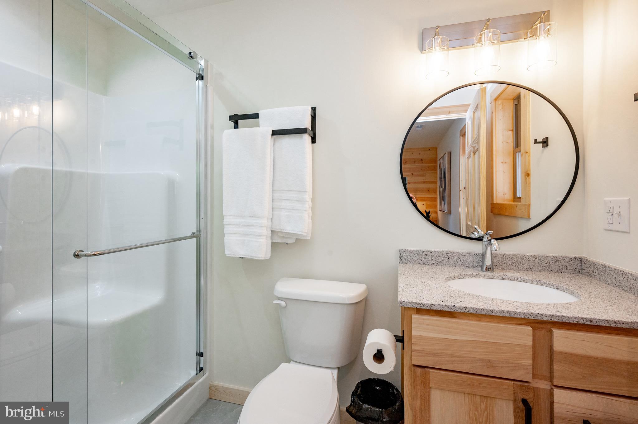 36 Irwin Way Oakland, MD 21550 - Photo 45 of 64 a bathroom with a sink a toilet and a mirror