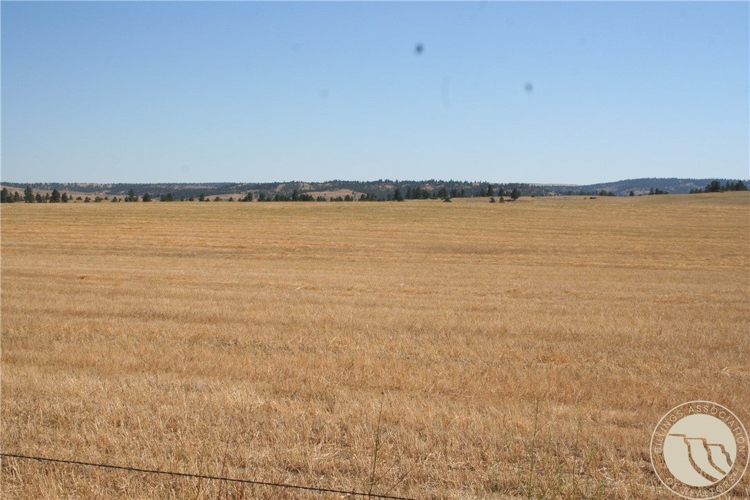 0 Joliet Road Columbus, MT 59019 - Photo 14 of 19 Gallery Image 14