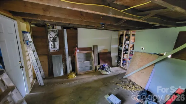 a view of a garden with plants and large trees