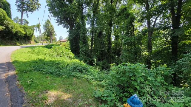 a view of a backyard with pathway