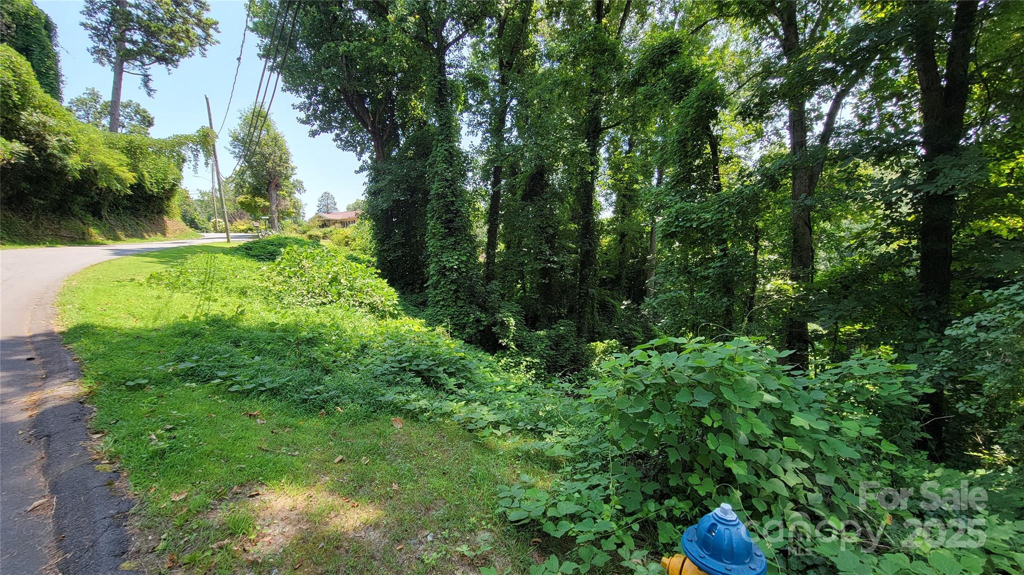 160 Cleveland Road Tryon, NC 28782 - Photo 18 of 42 a view of backyard with green space