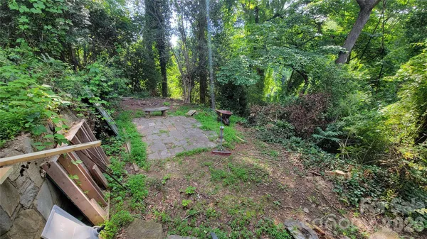a view of a lush green forest