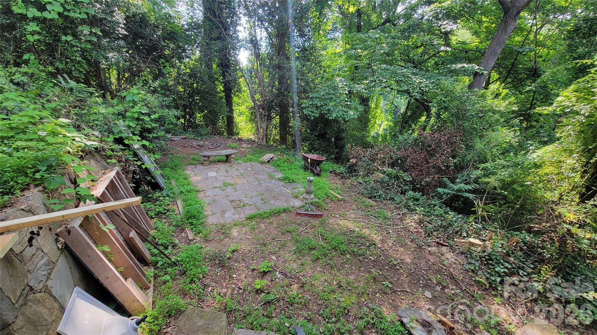 160 Cleveland Road Tryon, NC 28782 - Photo 18 of 40 a view of a yard with plants and a large tree