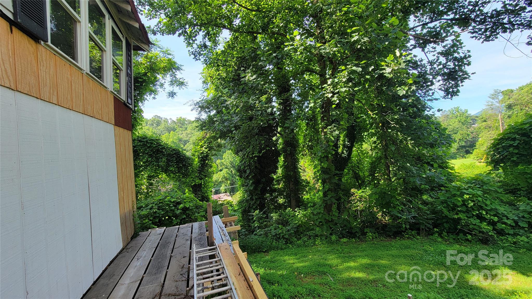 160 Cleveland Road Tryon, NC 28782 - Photo 23 of 42 a view of outdoor space and yard with green space