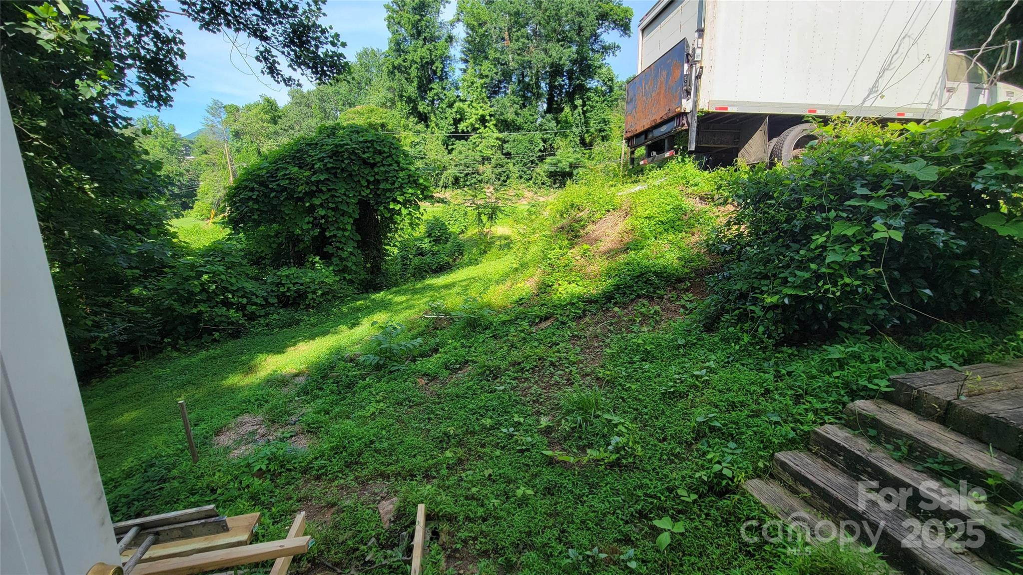 160 Cleveland Road Tryon, NC 28782 - Photo 24 of 42 a view of a garden with plants and large trees