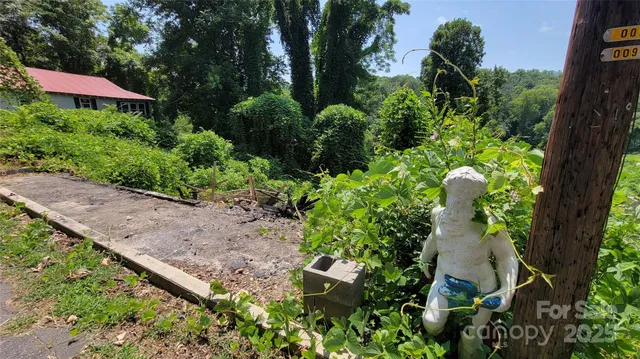 a view of a garden with a tree