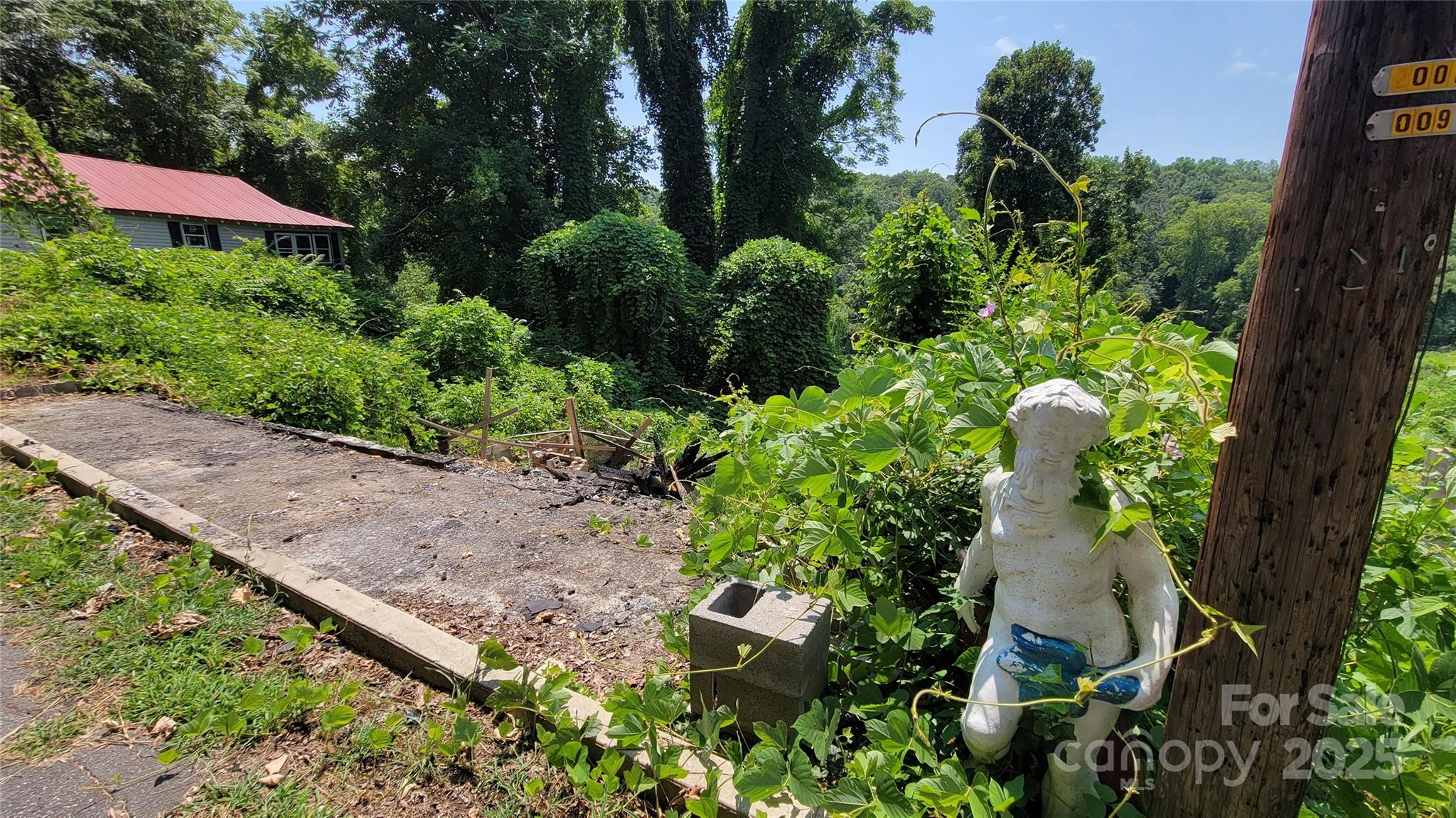 160 Cleveland Road Tryon, NC 28782 - Photo 28 of 42 a picture of plants