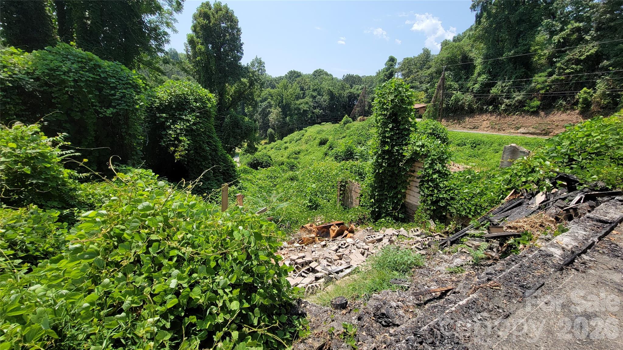 160 Cleveland Road Tryon, NC 28782 - Photo 28 of 40 a view of a garden with a tree