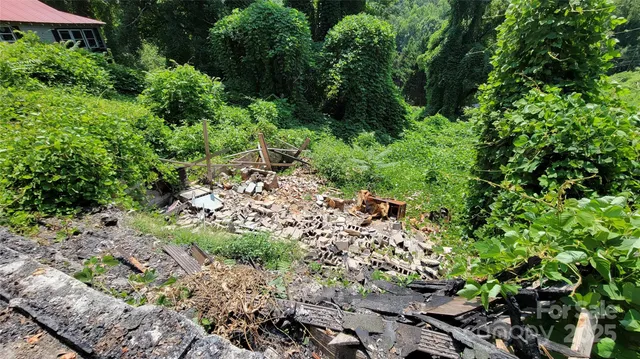 a view of a garden with a tree
